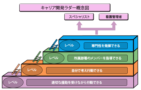 キャリア開発ラダー概念図